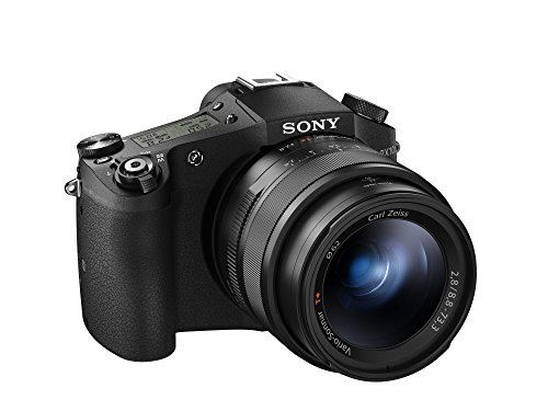 Sony Cámara fotográfica digital Cyber-shot DSC-RX10M II...