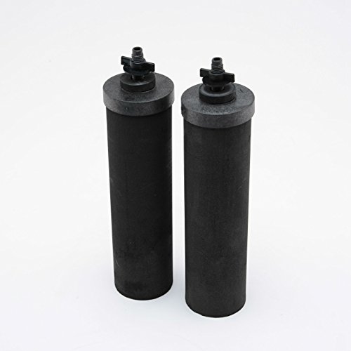 Berkey BB9-2 Elementos de filtro de agua negra de repue...