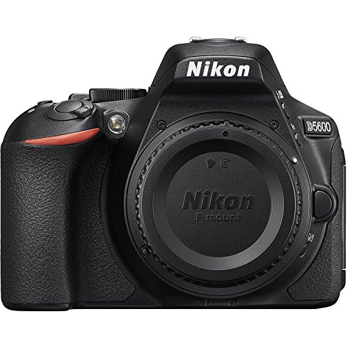Nikon Cuerpo SLR digital de formato DX D5600