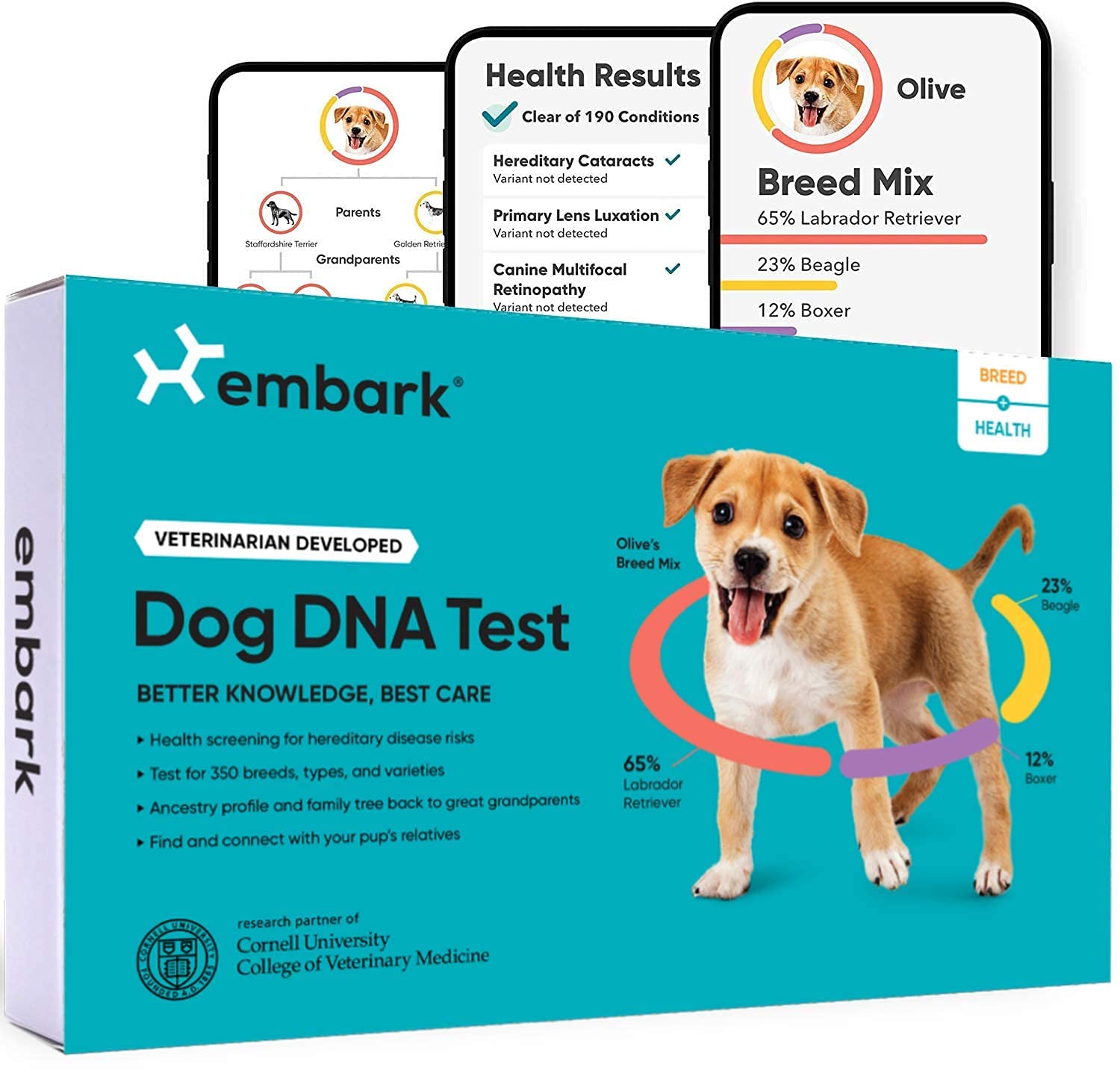 Embark Kit de prueba de ADN para perros | Descubrimiento de raza y ascendencia genética | Detección de rasgos y salud | Hisopo de mejilla en el hogar