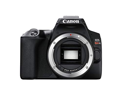 Canon CAMARA DIGITAL EOS REBEL SL3