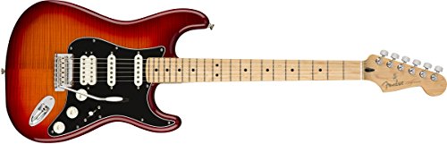 Fender Guitarra eléctrica Stratocaster
