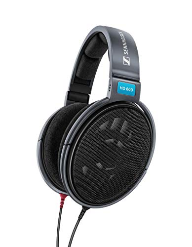 Sennheiser Consumer Audio HD 600 - Auriculares dinámicos abiertos de alta resolución para audiófilos