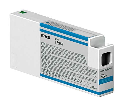 Epson Cartucho de tinta UltraChrome HDR - Negro foto de 350 ml (T596100)