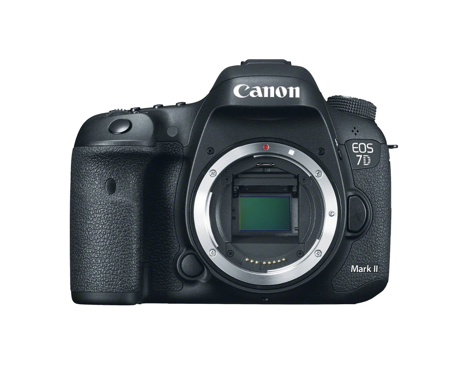 Canon Cámara SLR digital EOS 7D Mark II (solo cuerpo)