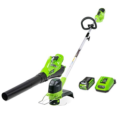 GreenWorks Soplador