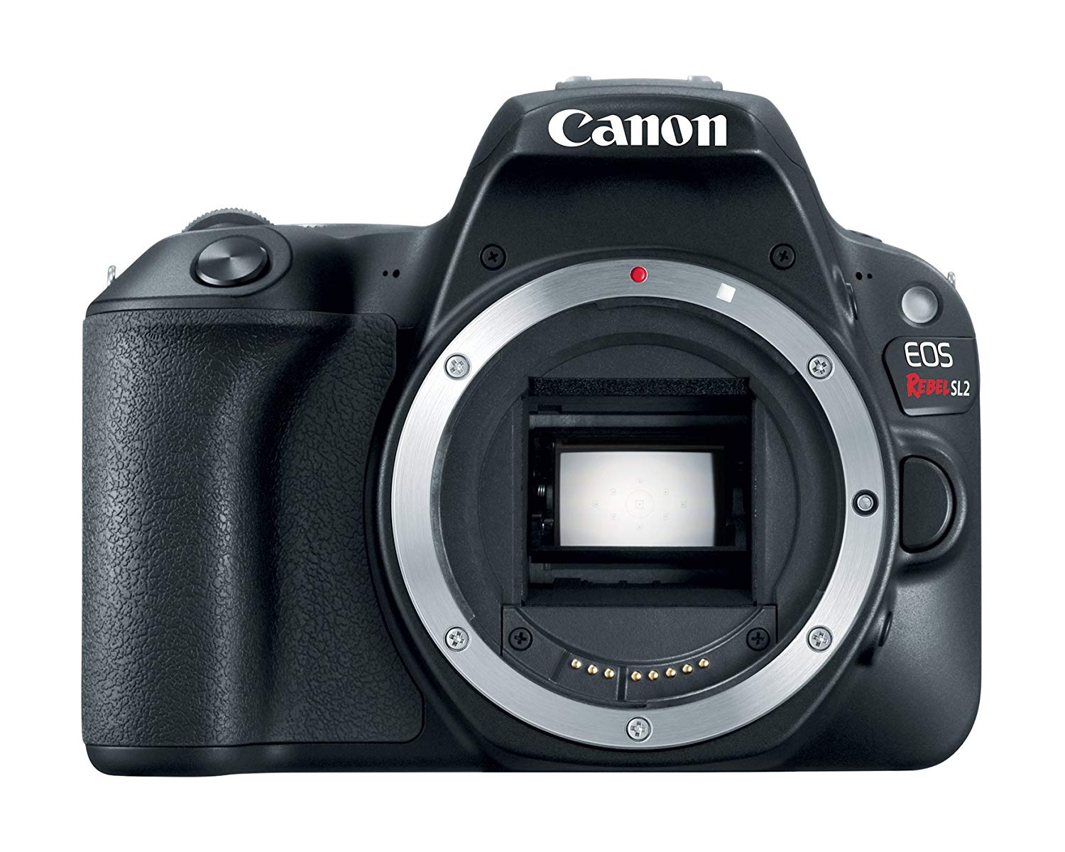 Canon Cuerpo de la cámara SLR digital EOS Rebel SL2 - W...